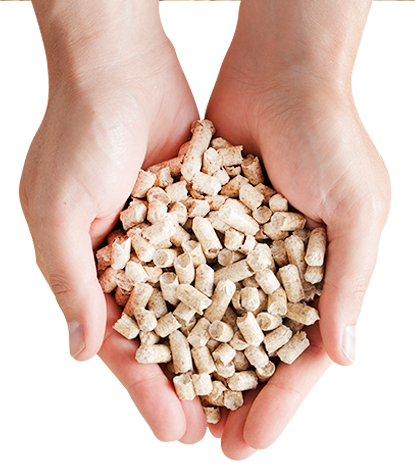 pellets